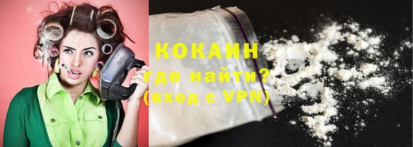 индика Володарск